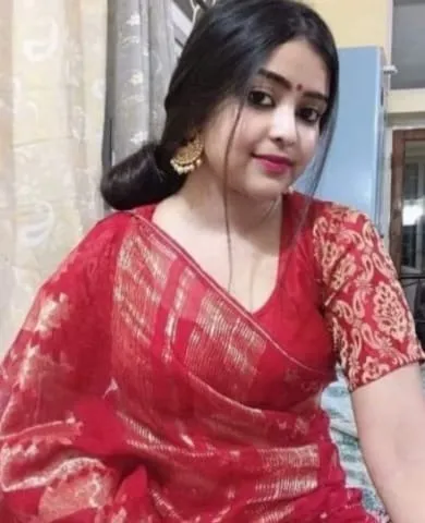 Independent Call Girls in Delhi